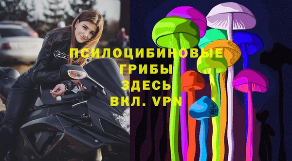 винт Алексин